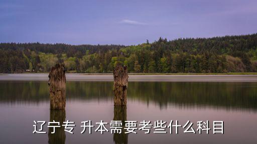 2015遼師專升本招生簡章,遼寧理工職業(yè)學院升本無本科；