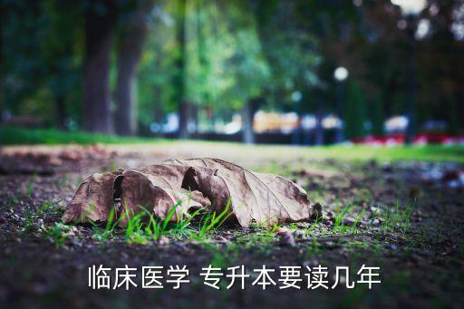  臨床醫(yī)學(xué) 專升本要讀幾年