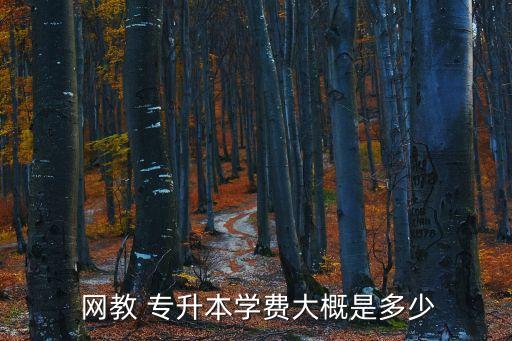  網(wǎng)教 專升本學(xué)費大概是多少