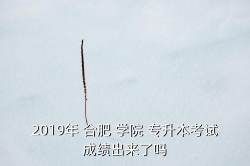 2019年 合肥 學(xué)院 專升本考試成績(jī)出來(lái)了嗎