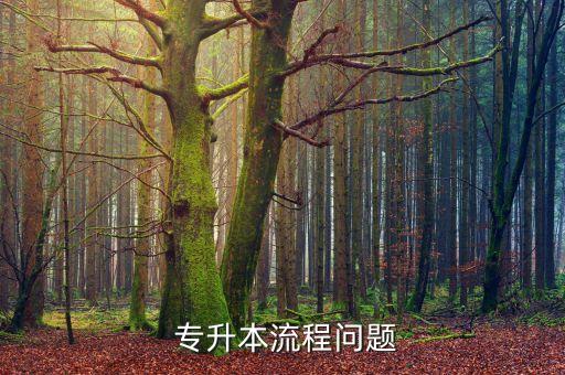 專升本過程,專升本報(bào)名流程