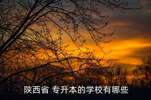  陜西省 專(zhuān)升本的學(xué)校有哪些