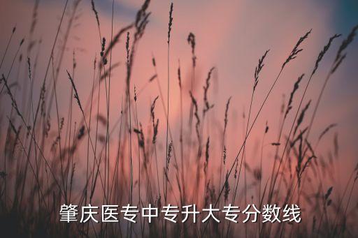 肇慶醫(yī)專(zhuān)升本校區(qū),肇慶醫(yī)學(xué)院學(xué)校附屬醫(yī)院有三所