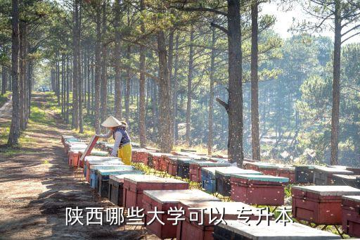 安康專升本條件,陜西21所民辦學(xué)校專升本名字都能分辨出來(lái)