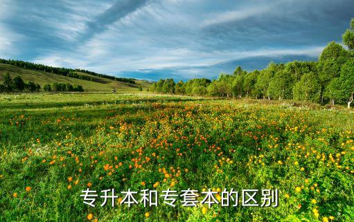  專(zhuān)升本和專(zhuān)套本的區(qū)別