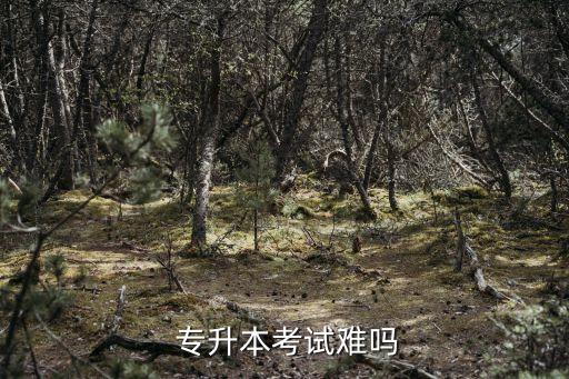 合肥學院專升本難嗎,我國高等教育專升本考試不難比高考難度小