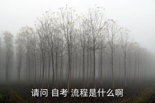 請問 自考 流程是什么啊