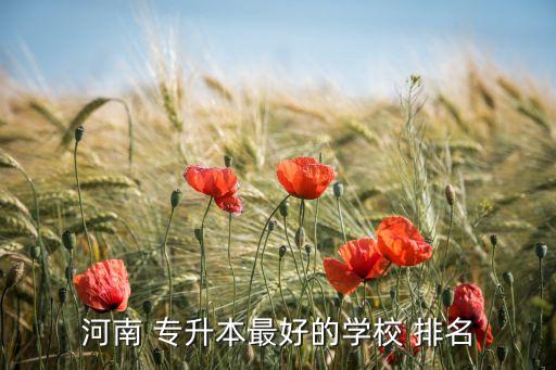 體育專(zhuān)升本院校排名,河南專(zhuān)升本最好的學(xué)校排名出爐