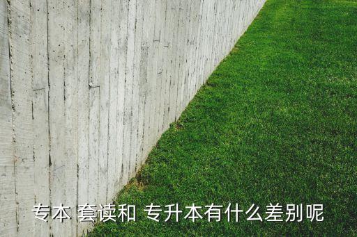 專(zhuān)本 套讀和 專(zhuān)升本有什么差別呢