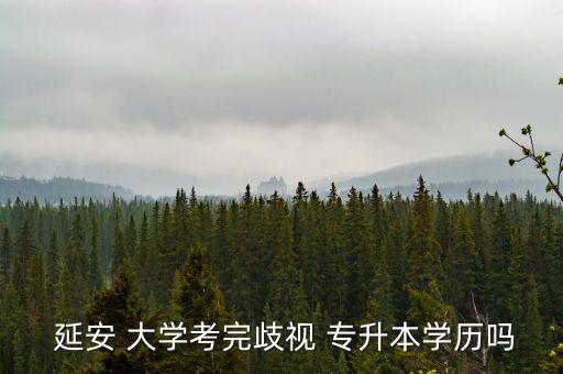  延安 大學(xué)考完歧視 專升本學(xué)歷嗎