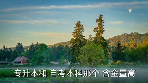 自考和專升本含金量,成人教育專升本學(xué)歷有何差別?