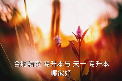 合肥天一專升本靠譜嗎,安徽統(tǒng)招學(xué)生專升本培訓(xùn)學(xué)校成立20年