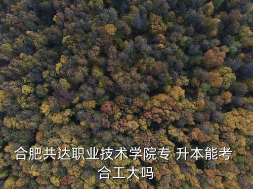 合肥共達職業(yè)技術(shù)學(xué)院專 升本能考 合工大嗎