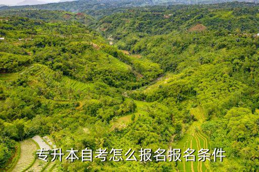 專(zhuān)升本自考官網(wǎng),統(tǒng)招專(zhuān)升本報(bào)名流程:1網(wǎng)上報(bào)名