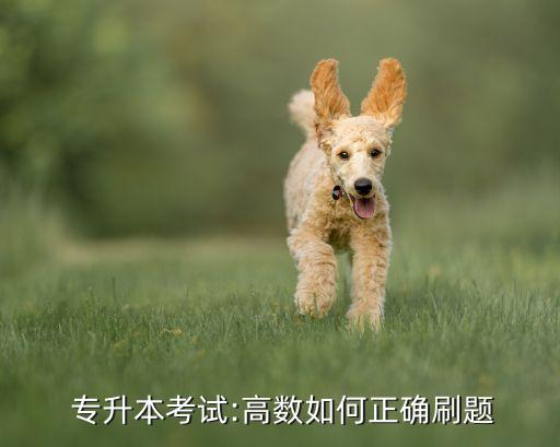  專(zhuān)升本考試:高數(shù)如何正確刷題