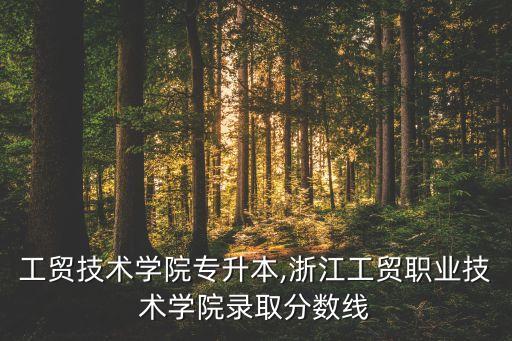 浙江工貿(mào)技術(shù)學(xué)院專(zhuān)升本,浙江工貿(mào)職業(yè)技術(shù)學(xué)院錄取分?jǐn)?shù)線(xiàn)