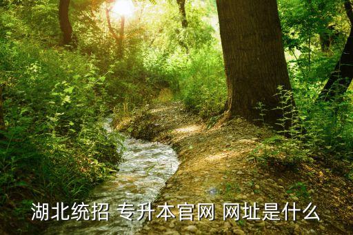報考專升本的網址,2023普通專升本報名入口網址