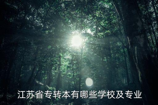 江蘇專升本院校,江蘇省高等學(xué)府?？瓢嬗心男I(yè)?