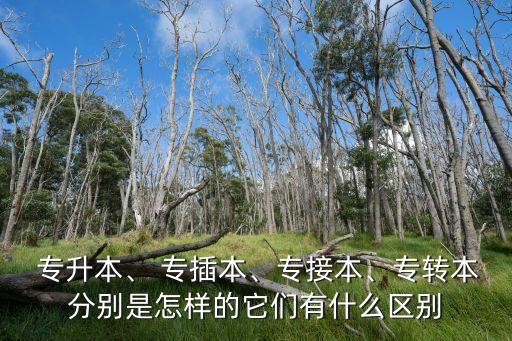  專升本、 專插本、專接本、專轉(zhuǎn)本分別是怎樣的它們有什么區(qū)別
