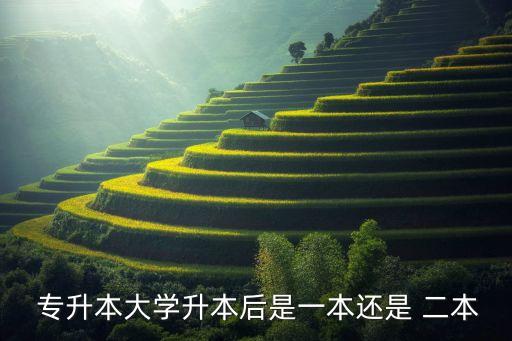  專(zhuān)升本大學(xué)升本后是一本還是 二本