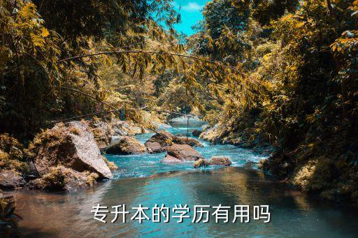  專升本的學(xué)歷有用嗎