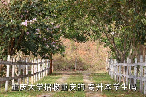  重慶大學(xué)招收重慶的 專升本學(xué)生嗎