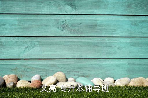  文亮 專(zhuān)升本輔導(dǎo)班
