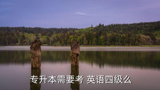  專升本需要考 英語四級么
