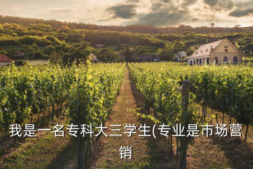 我是一名?？拼笕龑W(xué)生(專業(yè)是市場營銷