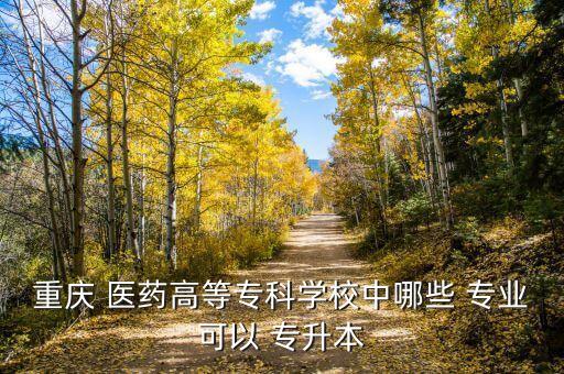 重慶 醫(yī)藥高等?？茖W(xué)校中哪些 專業(yè)可以 專升本