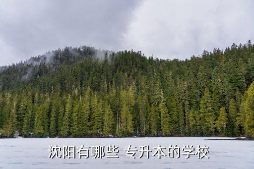 沈陽師范大學(xué)專升本補(bǔ)課班,沈陽師范大學(xué)隸屬于遼寧省人民政府