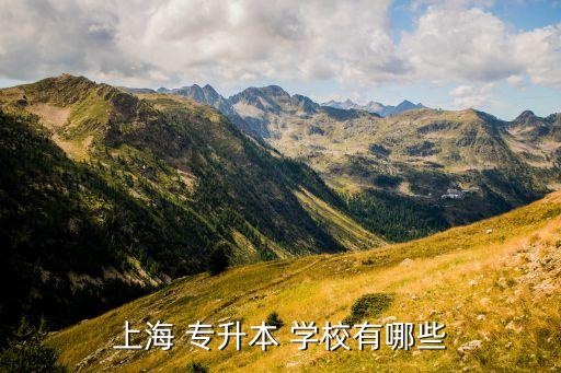 上海 專(zhuān)升本 學(xué)校有哪些
