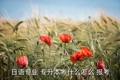  日語(yǔ)專業(yè) 專升本考什么怎么 報(bào)考