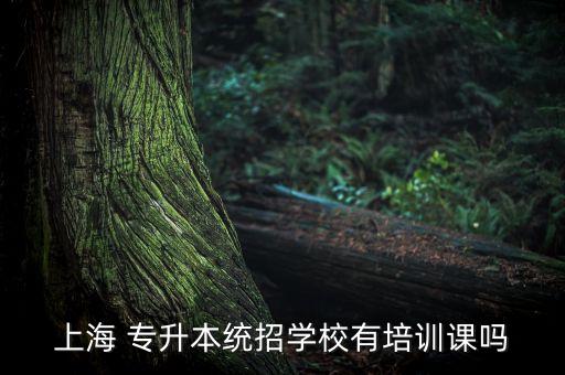 上海 專升本統(tǒng)招學校有培訓課嗎