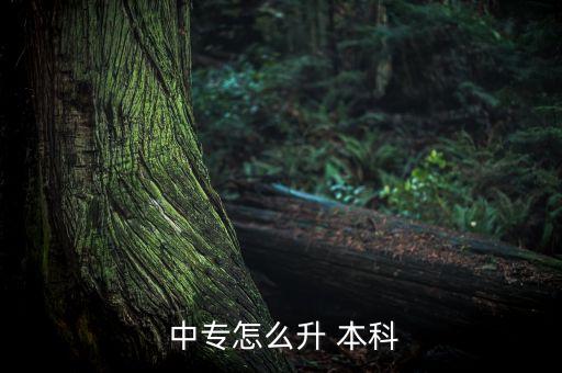  中專(zhuān)怎么升 本科