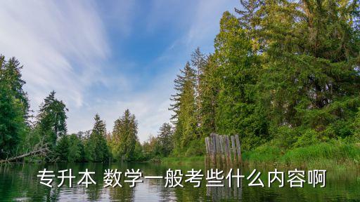  專升本 數(shù)學(xué)一般考些什么內(nèi)容啊