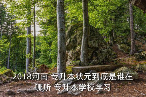 2018河南 專升本狀元到底是誰(shuí)在哪所 專升本學(xué)校學(xué)習(xí)