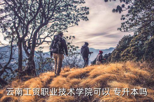 云南省2017專升本,專升本音樂(lè)專業(yè)考生對(duì)象及報(bào)考條件公布