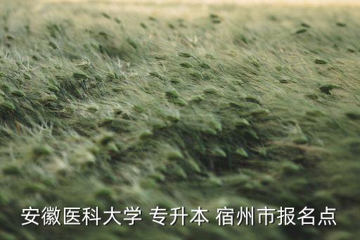 安徽醫(yī)科大學(xué) 專(zhuān)升本 宿州市報(bào)名點(diǎn)
