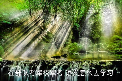 在部隊考軍校軍考 語文怎么去學(xué)習(xí)