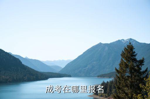 成考在哪里報名