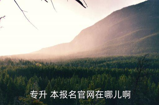 南昌專升本報名網(wǎng)站,專升學生報名網(wǎng)站新增兩個學生社區(qū)網(wǎng)站