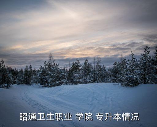  昭通衛(wèi)生職業(yè) 學院 專升本情況