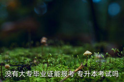 沒(méi)有大專(zhuān)畢業(yè)證能報(bào)考 專(zhuān)升本考試嗎