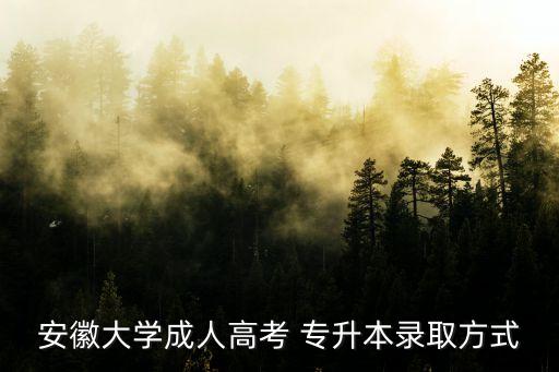 安徽大學成人高考 專升本錄取方式