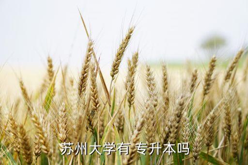 蘇州大學有 專升本嗎