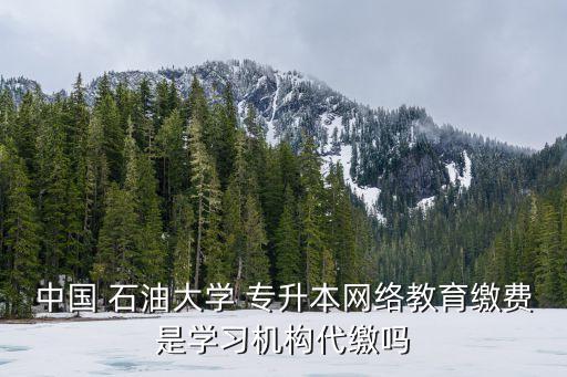 中國 石油大學(xué) 專升本網(wǎng)絡(luò)教育繳費是學(xué)習(xí)機(jī)構(gòu)代繳嗎