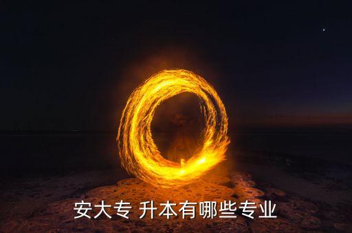 安徽大學2015藝專升本,安大升本專業(yè)有哪些?