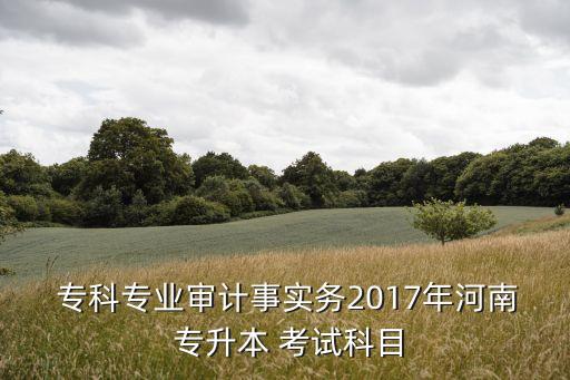  ?？茖I(yè)審計(jì)事實(shí)務(wù)2017年河南 專升本 考試科目