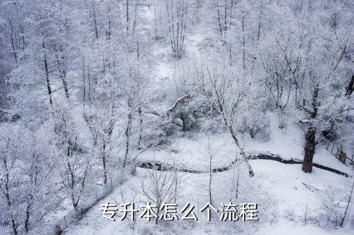專(zhuān)升本怎么作弊,專(zhuān)升本有何重重難關(guān)?